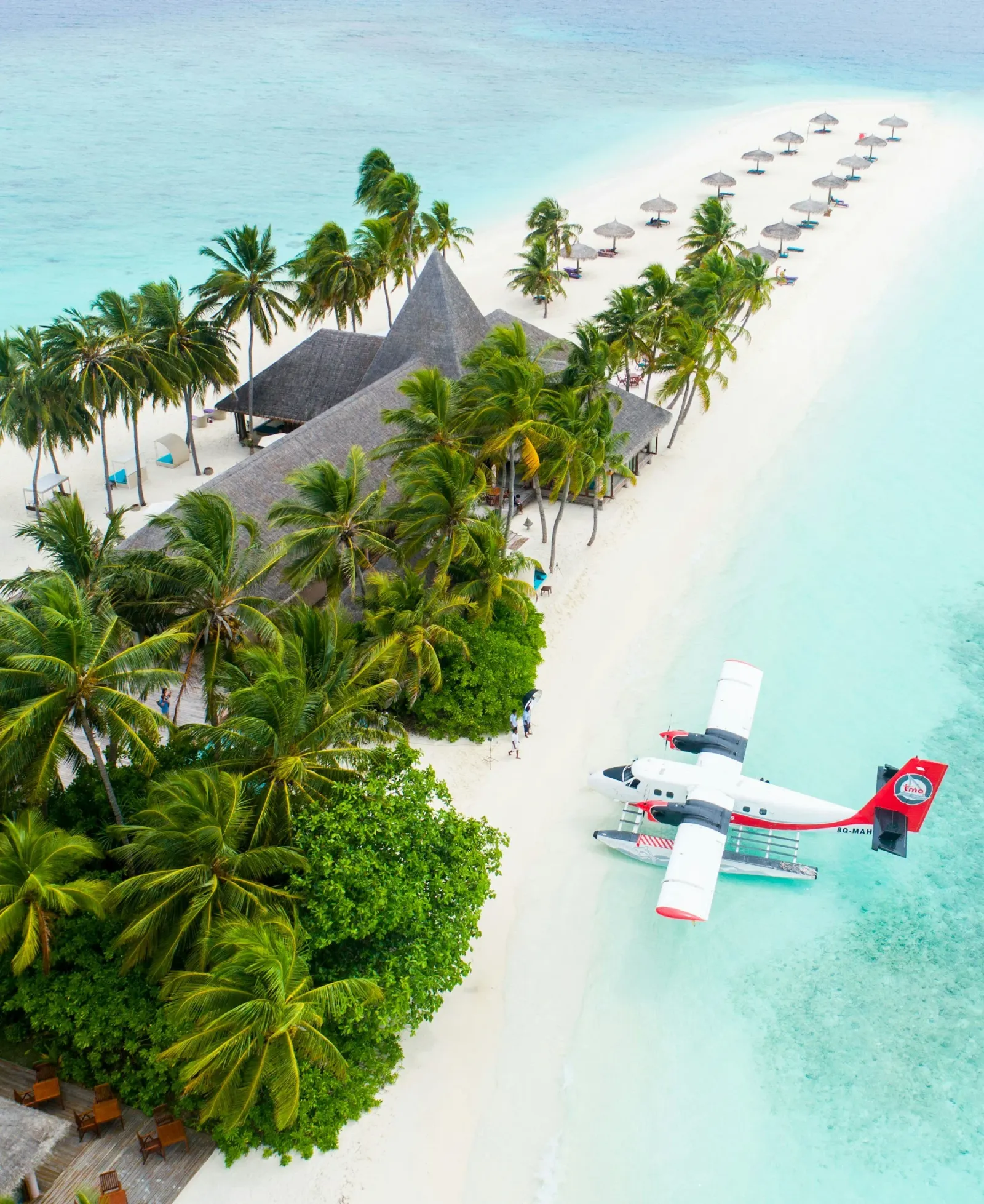 A seaplane on a tropical shore — putting the plan into motion